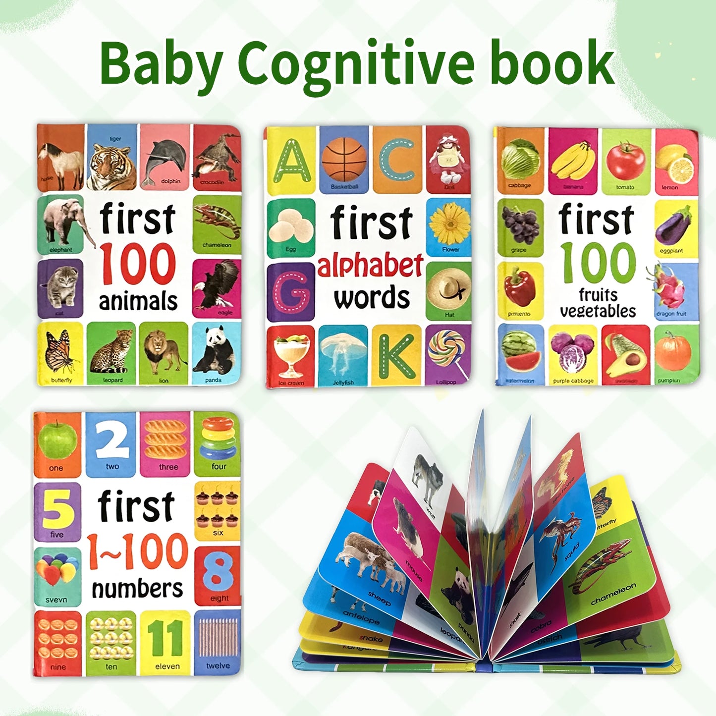Preschool English Learning Books | Improves Children's Identification Skills