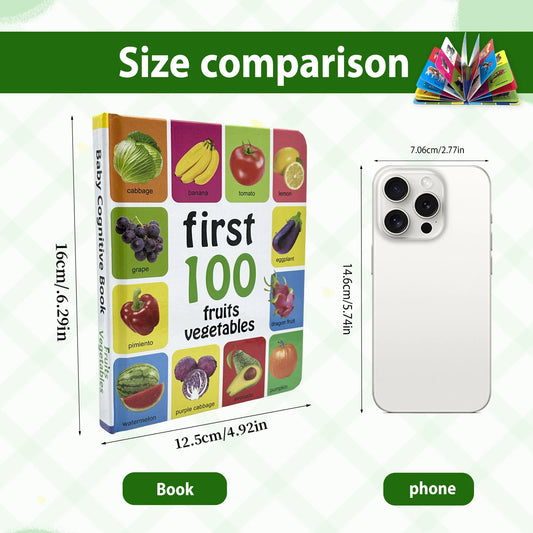 Preschool English Learning Books | Improves Children's Identification Skills