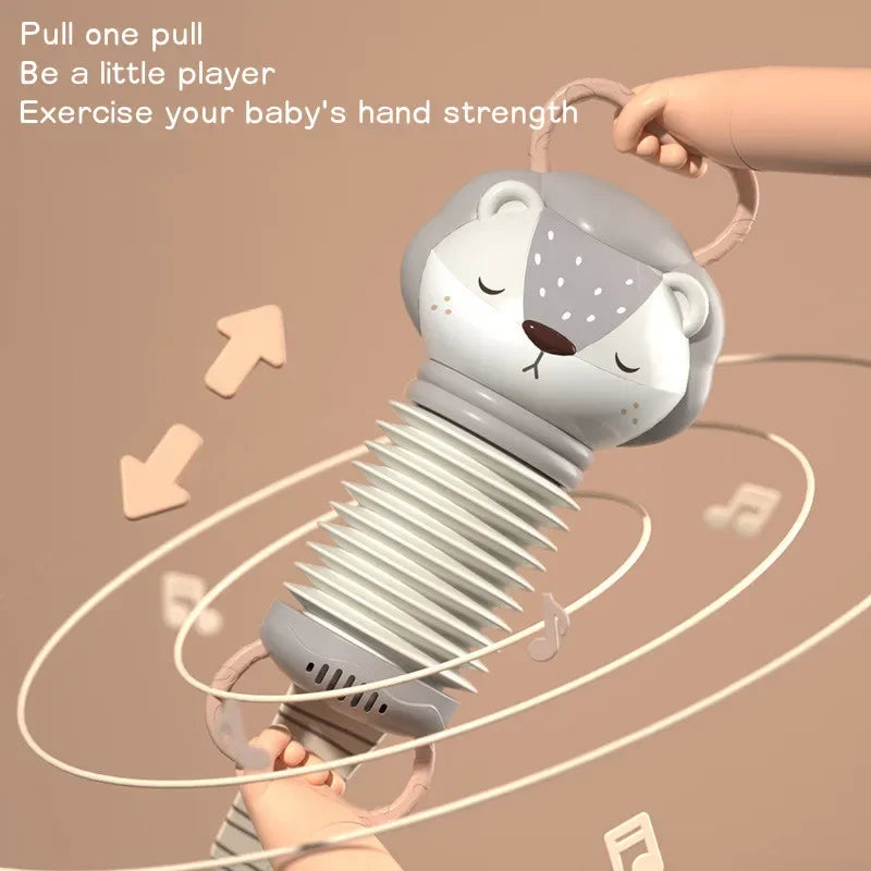 Baby Music Toys | Early Music Education Instrument
