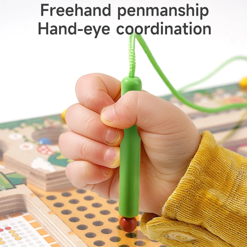 Patterns recognition Magnetic Kids Toy (Early Educational and Fine Motor Toy)