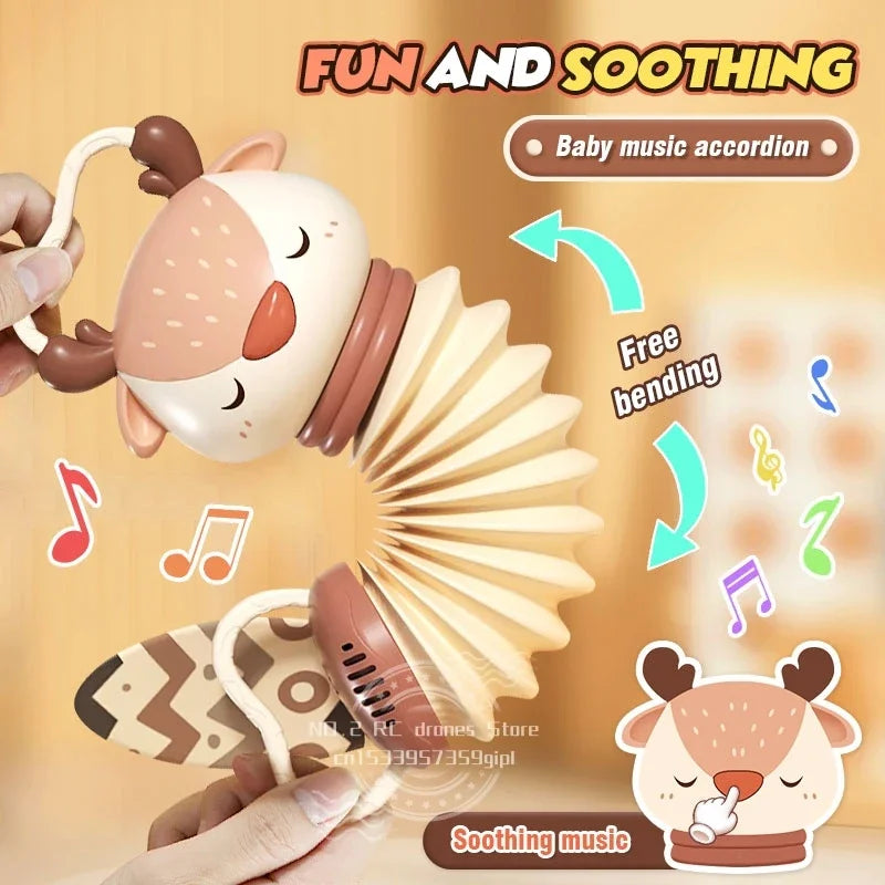 Baby Music Toys | Early Music Education Instrument